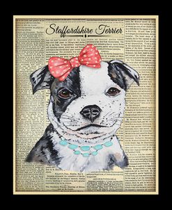 JP3857-Staffordshire Terrier