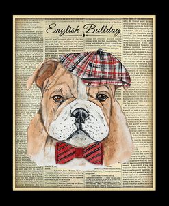 JP3858-English Bulldog