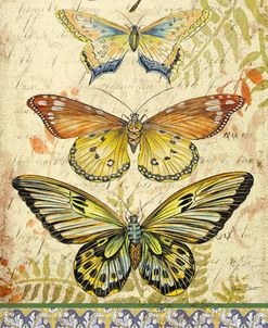 Vintage Wings-Le Papillons