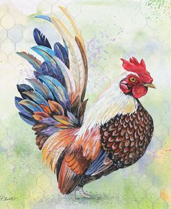 Watercolor Rooster-A