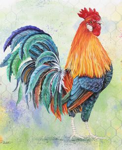 Watercolor Rooster-B
