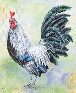 Watercolor Rooster-C