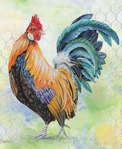Watercolor Rooster-D
