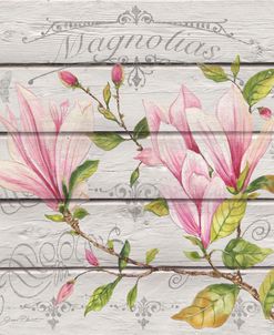 Pink Magnolias-B-JP3923