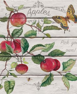 Red Delicious Apples-JP3919