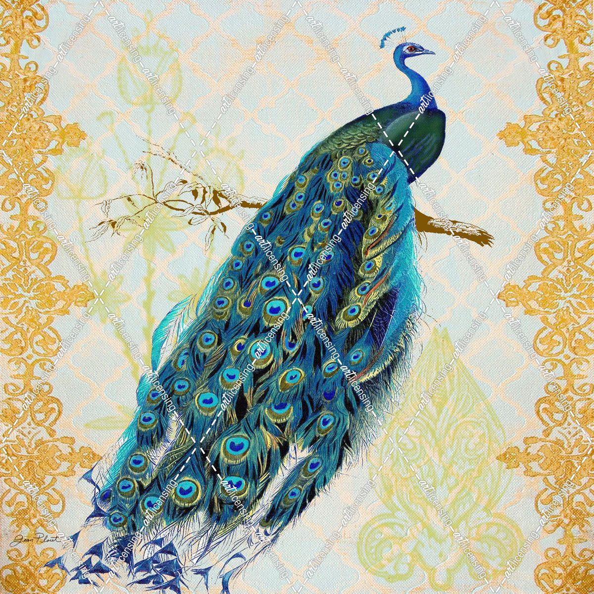 Beautiful Peacock-A