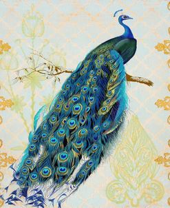 Beautiful Peacock-A