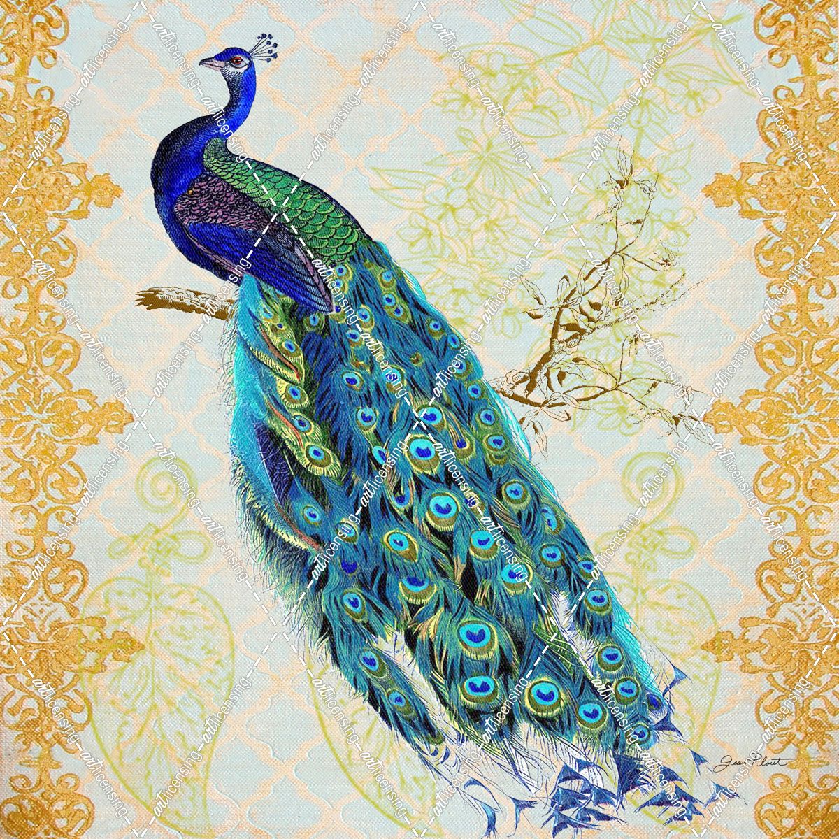 Beautiful Peacock-B
