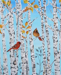 Cardinals Among The Birch-A