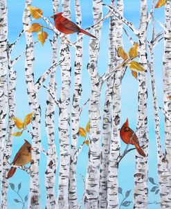 Cardinals Among The Birch-B