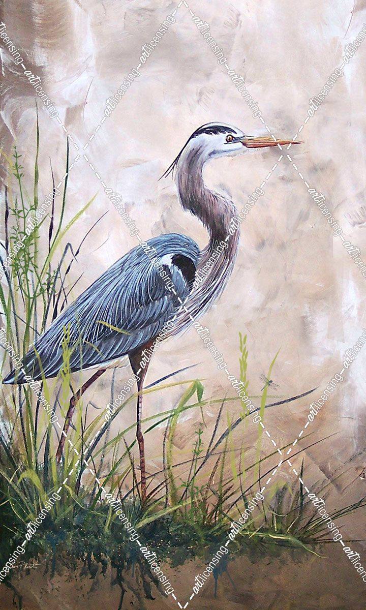 Jp1817_In The Reeds-Blue Heron-A