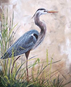 Jp1817_In The Reeds-Blue Heron-A