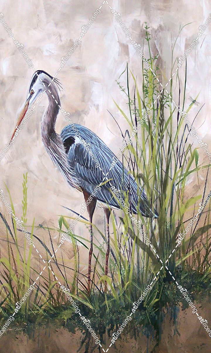 Jp1818_In The Reeds-Blue Heron-B