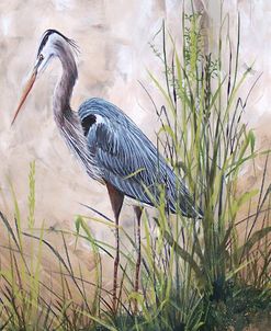 Jp1818_In The Reeds-Blue Heron-B