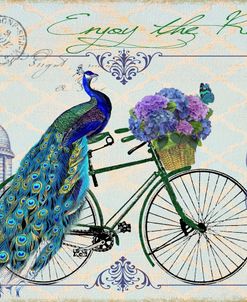 Jp2554-Peacock On Bicylce