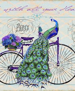 Jp2556-Peacock On Bicycle