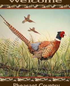 Jp2805-Pheasant