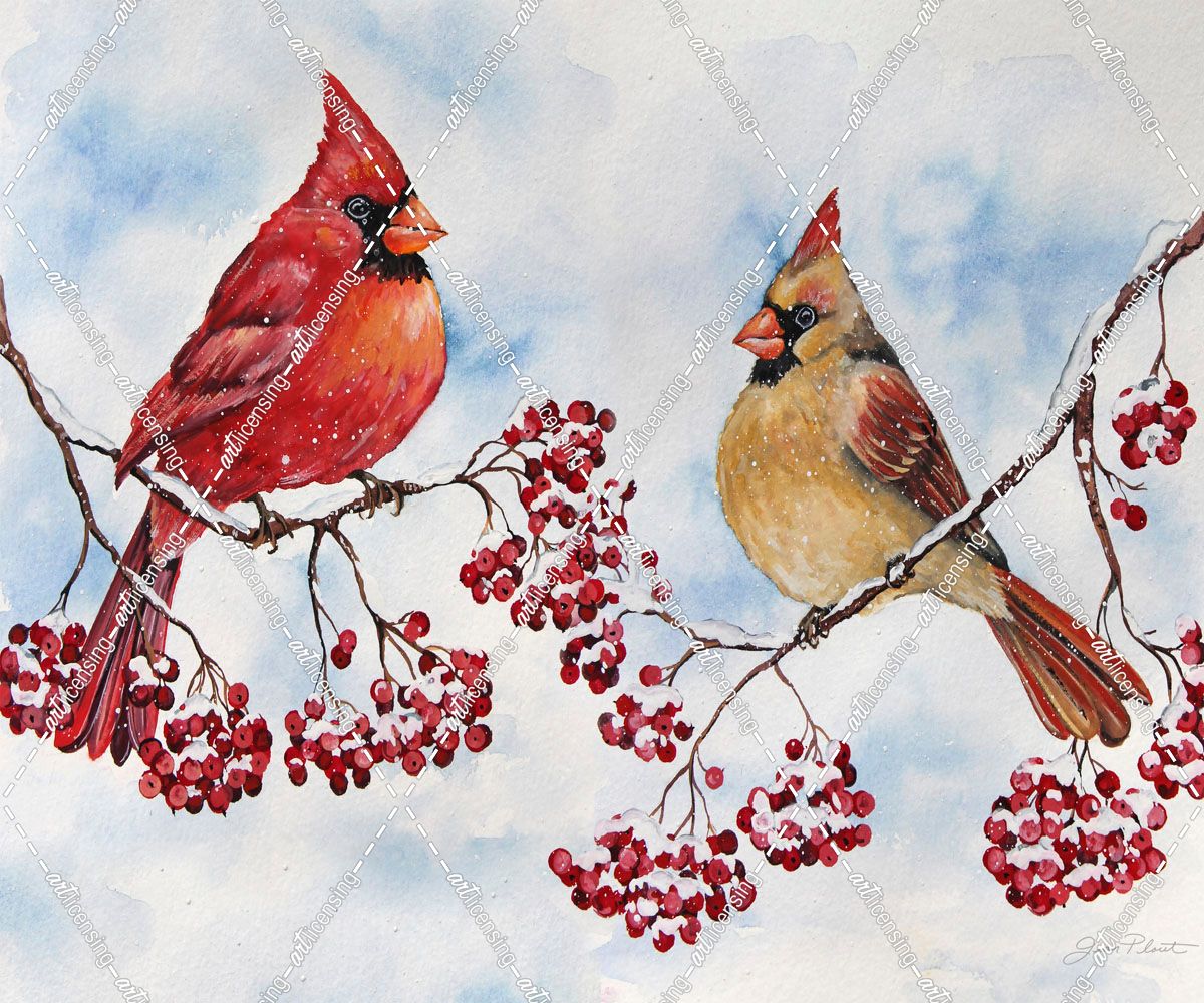 Jp3895-Cardinals And Winter Berries