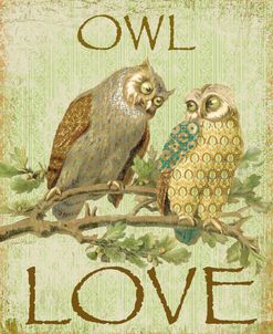 Owl Love