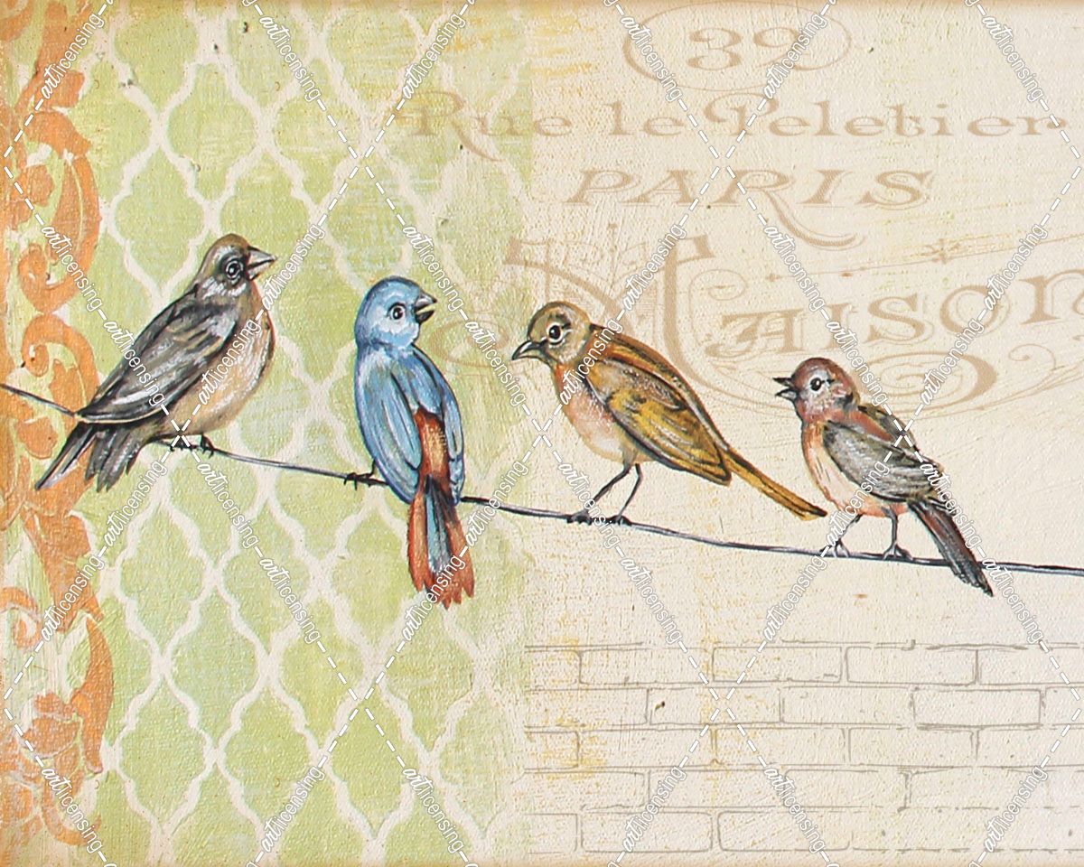 Jp3395-Birds Gathered On Wire-Paris Wall-A
