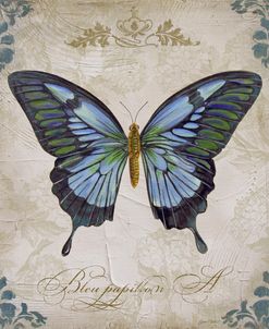 JP2153_Bleu Papillon-A