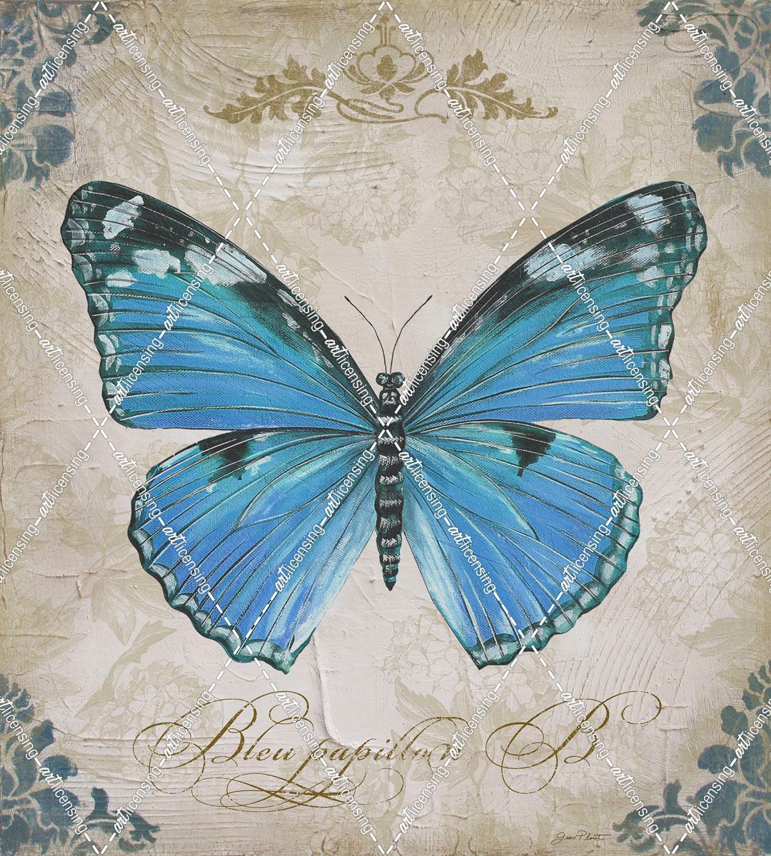 JP2154_Bleu Papillon-B