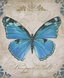 JP2154_Bleu Papillon-B