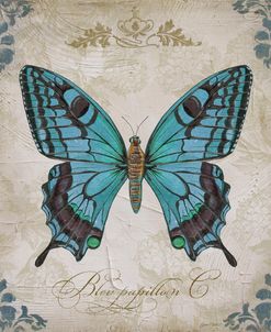 JP2155_Bleu Papillon-C