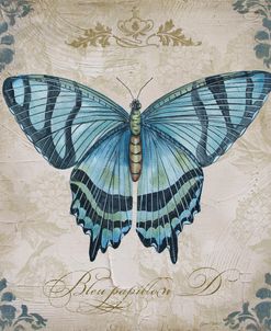 JP2156_Bleu Papillon-D