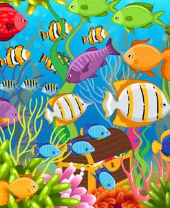 Colorful Sea Life