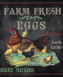 JP2636_Farm Fresh Eggs