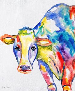 JP2489-Colorful Cow