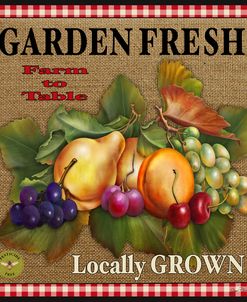 JP2386_Garden Fresh-Fruit