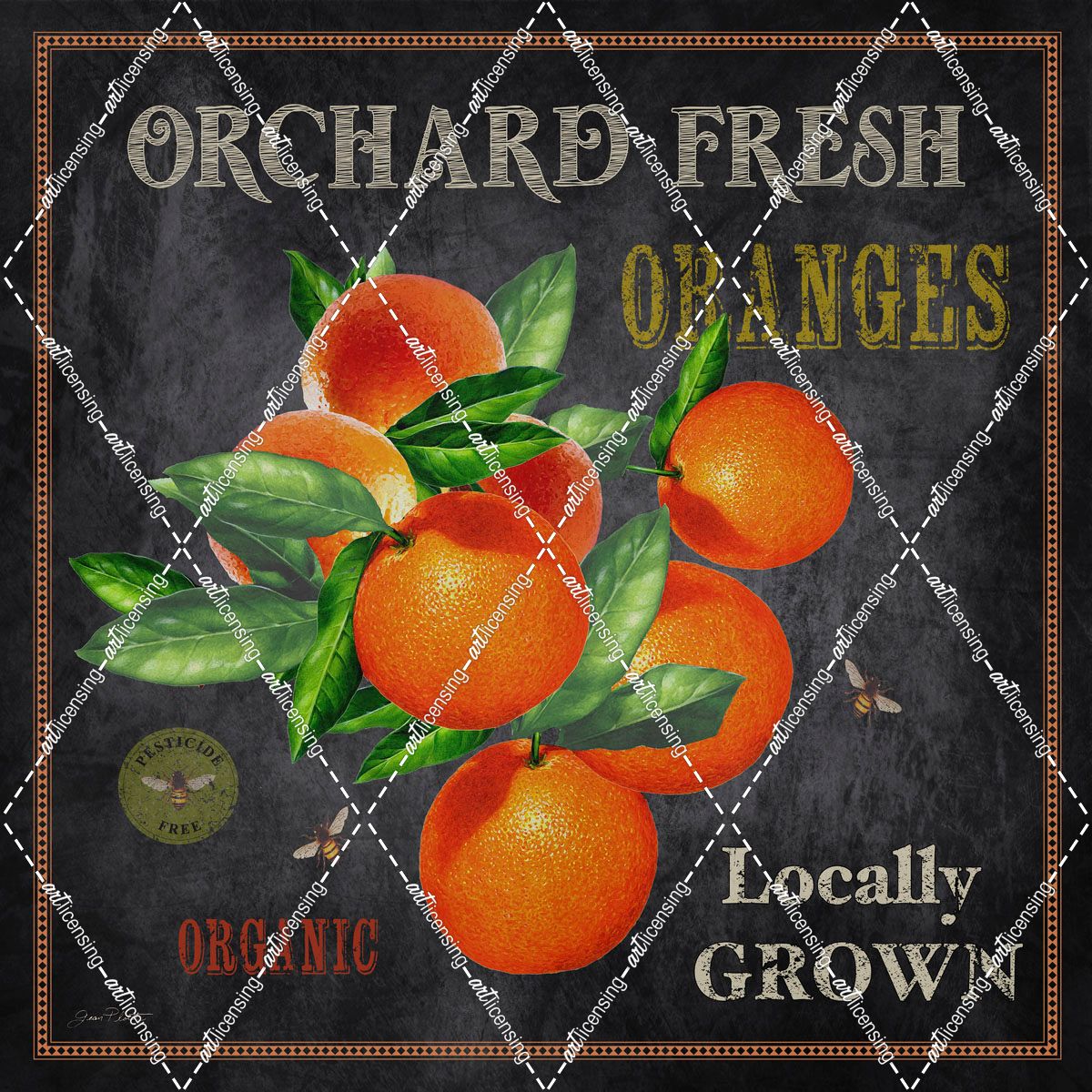 JP2641_Orchard Fresh Oranges