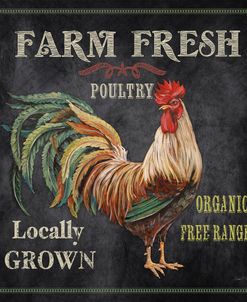 JP2634_Farm Fresh Rooster