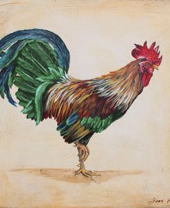 Rooster-H