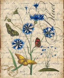 Botanical-Aster-Bluet-Damask