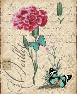 Botanical-Carnation-Oeillet-Damask