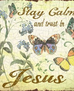 Stay Calm-Jesus-Butterflies