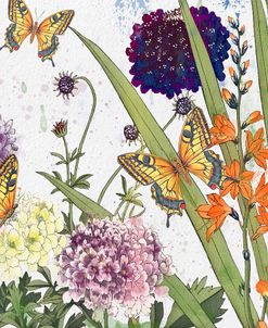 JP3833-Florals And Butterflies