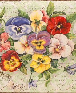 Pansies and Butterflies
