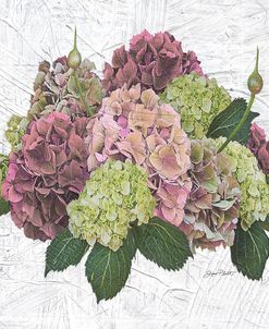 Hydrangea Vignette-Pink