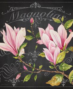 JP3891-Magnolias