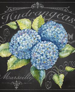 JP3887-Hydrangeas