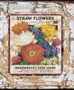 JP0543-Tin Tile-Straw Flowers