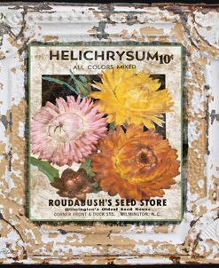 JP0546-Tin Tile-Helchrysum