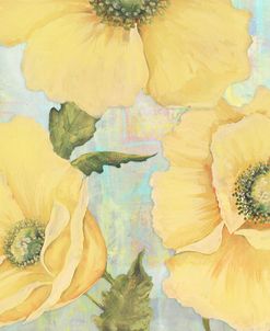 Yellow Poppies On Aqua