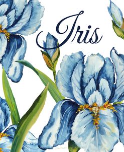 JP2586-Iris