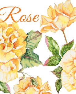 JP2591-Rose-B