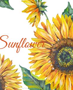 JP2592-Sunflower
